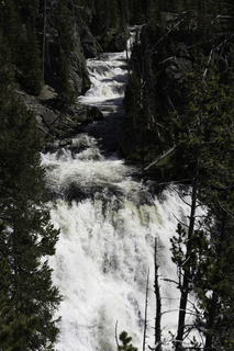 Filename=DSC_1238.jpg
Filesize=19649KiB
Dimensions=4912x7360
Date added=Sep 20, 2019 DSC_1238.jpg