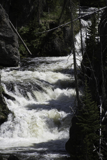 Filename=DSC_1239.jpg
Filesize=18540KiB
Dimensions=4912x7360
Date added=Sep 20, 2019 DSC_1239.jpg