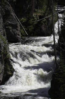 Filename=DSC_1240.jpg
Filesize=17576KiB
Dimensions=4912x7360
Date added=Sep 20, 2019 DSC_1240.jpg