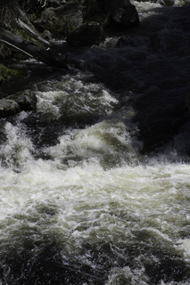 Filename=DSC_1241.jpg
Filesize=19164KiB
Dimensions=4912x7360
Date added=Sep 20, 2019 DSC_1241.jpg