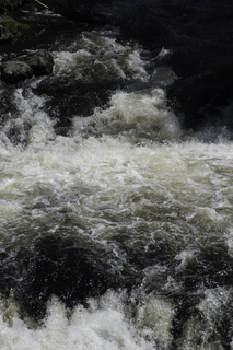 Filename=DSC_1242.jpg
Filesize=17034KiB
Dimensions=4912x7360
Date added=Sep 20, 2019 DSC_1242.jpg