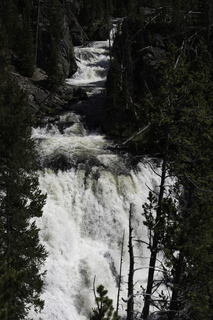 Filename=DSC_1247.jpg
Filesize=18166KiB
Dimensions=4912x7360
Date added=Sep 20, 2019 DSC_1247.jpg