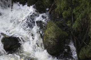 Filename=DSC_1250.jpg
Filesize=24142KiB
Dimensions=7360x4912
Date added=Sep 20, 2019 DSC_1250.jpg