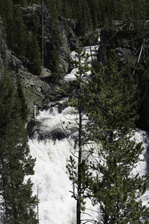 Filename=DSC_1251.jpg
Filesize=24466KiB
Dimensions=4912x7360
Date added=Sep 20, 2019 DSC_1251.jpg