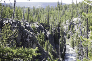 Filename=DSC_1252.jpg
Filesize=25374KiB
Dimensions=7360x4912
Date added=Sep 20, 2019 DSC_1252.jpg