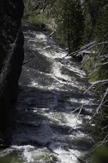 Filename=DSC_1253.jpg
Filesize=19005KiB
Dimensions=4912x7360
Date added=Sep 20, 2019 DSC_1253.jpg