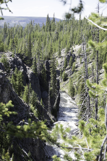 Filename=DSC_1255.jpg
Filesize=23099KiB
Dimensions=4912x7360
Date added=Sep 20, 2019 DSC_1255.jpg