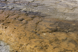 Filename=DSC_1284.jpg
Filesize=27843KiB
Dimensions=7360x4912
Date added=Sep 21, 2019 DSC_1284.jpg