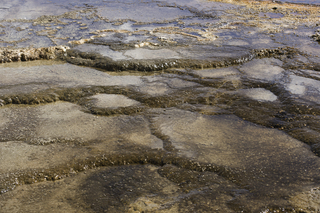 Filename=DSC_1285.jpg
Filesize=23075KiB
Dimensions=7360x4912
Date added=Sep 21, 2019 DSC_1285.jpg