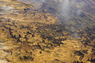 Filename=DSC_1286.jpg
Filesize=23193KiB
Dimensions=7360x4912
Date added=Sep 21, 2019 DSC_1286.jpg