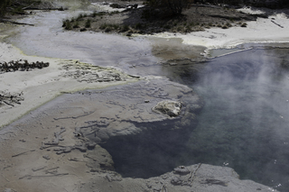 Filename=DSC_1299.jpg
Filesize=21249KiB
Dimensions=7360x4912
Date added=Sep 21, 2019 DSC_1299.jpg