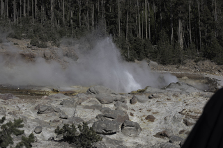 Filename=DSC_1307.jpg
Filesize=20698KiB
Dimensions=7360x4912
Date added=Sep 21, 2019 DSC_1307.jpg