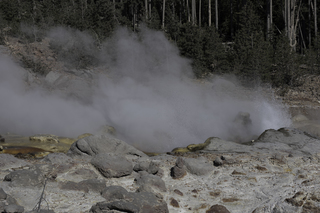 Filename=DSC_1308.jpg
Filesize=20527KiB
Dimensions=7360x4912
Date added=Sep 21, 2019 DSC_1308.jpg