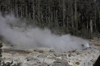 Filename=DSC_1309.jpg
Filesize=21954KiB
Dimensions=7360x4912
Date added=Sep 21, 2019 DSC_1309.jpg