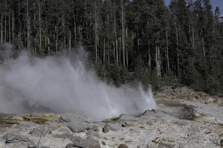 Filename=DSC_1312.jpg
Filesize=23512KiB
Dimensions=7360x4912
Date added=Sep 21, 2019 DSC_1312.jpg