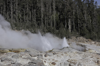 Filename=DSC_1313.jpg
Filesize=24359KiB
Dimensions=7360x4912
Date added=Sep 21, 2019 DSC_1313.jpg