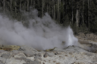 Filename=DSC_1315.jpg
Filesize=20246KiB
Dimensions=7360x4912
Date added=Sep 21, 2019 DSC_1315.jpg