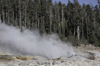 Filename=DSC_1316.jpg
Filesize=23596KiB
Dimensions=7360x4912
Date added=Sep 21, 2019 DSC_1316.jpg