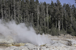 Filename=DSC_1317.jpg
Filesize=25137KiB
Dimensions=7360x4912
Date added=Sep 21, 2019 DSC_1317.jpg