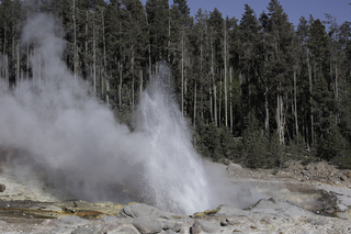 Filename=DSC_1318.jpg
Filesize=23167KiB
Dimensions=7360x4912
Date added=Sep 21, 2019 DSC_1318.jpg