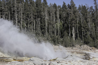 Filename=DSC_1319.jpg
Filesize=25042KiB
Dimensions=7360x4912
Date added=Sep 21, 2019 DSC_1319.jpg