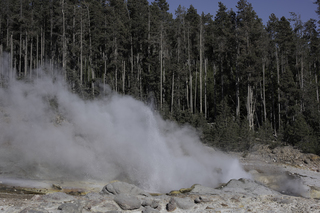 Filename=DSC_1320.jpg
Filesize=21796KiB
Dimensions=7360x4912
Date added=Sep 21, 2019 DSC_1320.jpg