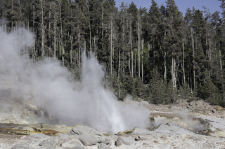 Filename=DSC_1321.jpg
Filesize=25664KiB
Dimensions=7360x4912
Date added=Sep 21, 2019 DSC_1321.jpg