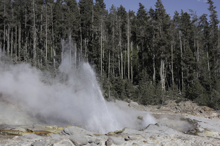 Filename=DSC_1323.jpg
Filesize=25040KiB
Dimensions=7360x4912
Date added=Sep 21, 2019 DSC_1323.jpg