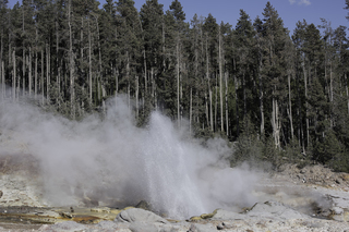 Filename=DSC_1324.jpg
Filesize=24475KiB
Dimensions=7360x4912
Date added=Sep 21, 2019 DSC_1324.jpg