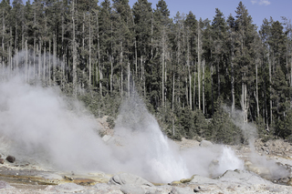 Filename=DSC_1326.jpg
Filesize=25496KiB
Dimensions=7360x4912
Date added=Sep 21, 2019 DSC_1326.jpg