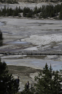 Filename=DSC_1328.jpg
Filesize=20579KiB
Dimensions=4912x7360
Date added=Sep 21, 2019 DSC_1328.jpg