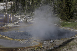 Filename=DSC_1334.jpg
Filesize=22130KiB
Dimensions=7360x4912
Date added=Sep 21, 2019 DSC_1334.jpg