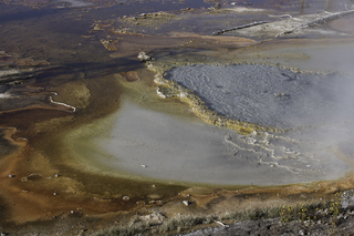 Filename=DSC_1335.jpg
Filesize=22527KiB
Dimensions=7360x4912
Date added=Sep 21, 2019 DSC_1335.jpg