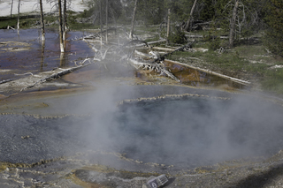 Filename=DSC_1337.jpg
Filesize=21299KiB
Dimensions=7360x4912
Date added=Sep 21, 2019 DSC_1337.jpg