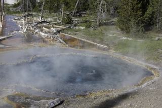 Filename=DSC_1338.jpg
Filesize=23774KiB
Dimensions=7360x4912
Date added=Sep 21, 2019 DSC_1338.jpg