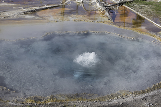 Filename=DSC_1340.jpg
Filesize=19656KiB
Dimensions=7360x4912
Date added=Sep 21, 2019 DSC_1340.jpg