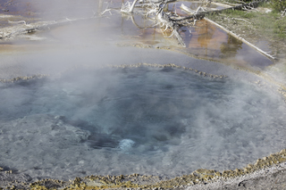 Filename=DSC_1343.jpg
Filesize=20545KiB
Dimensions=7360x4912
Date added=Sep 21, 2019 DSC_1343.jpg