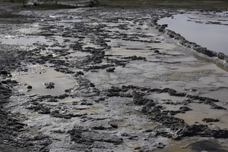 Filename=DSC_1358.jpg
Filesize=22219KiB
Dimensions=7360x4912
Date added=Sep 21, 2019 DSC_1358.jpg