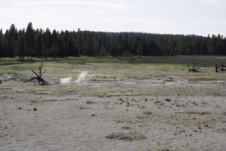 Filename=DSC_1363.jpg
Filesize=20933KiB
Dimensions=7360x4912
Date added=Sep 21, 2019 DSC_1363.jpg