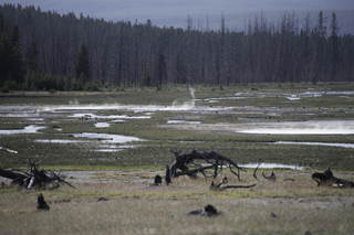 Filename=DSC_1365.jpg
Filesize=20306KiB
Dimensions=7360x4912
Date added=Sep 21, 2019 DSC_1365.jpg