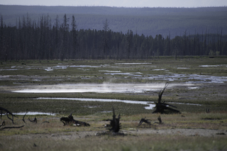 Filename=DSC_1366.jpg
Filesize=17598KiB
Dimensions=7360x4912
Date added=Sep 21, 2019 DSC_1366.jpg