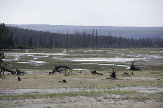 Filename=DSC_1367.jpg
Filesize=16911KiB
Dimensions=7360x4912
Date added=Sep 21, 2019 DSC_1367.jpg