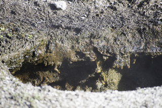 Filename=DSC_1391.jpg
Filesize=24605KiB
Dimensions=7360x4912
Date added=Sep 21, 2019 DSC_1391.jpg