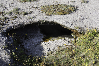 Filename=DSC_1396.jpg
Filesize=24803KiB
Dimensions=7360x4912
Date added=Sep 21, 2019 DSC_1396.jpg