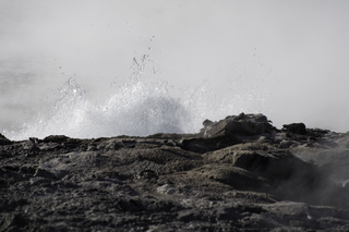 Filename=DSC_1398.jpg
Filesize=12558KiB
Dimensions=7360x4912
Date added=Sep 21, 2019 DSC_1398.jpg