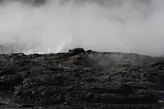 Filename=DSC_1399.jpg
Filesize=13253KiB
Dimensions=7360x4912
Date added=Sep 21, 2019 DSC_1399.jpg