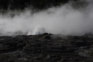 Filename=DSC_1400.jpg
Filesize=13460KiB
Dimensions=7360x4912
Date added=Sep 21, 2019 DSC_1400.jpg