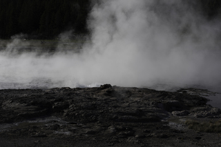 Filename=DSC_1402.jpg
Filesize=14138KiB
Dimensions=7360x4912
Date added=Sep 21, 2019 DSC_1402.jpg