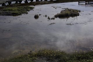 Filename=DSC_1403.jpg
Filesize=18858KiB
Dimensions=7360x4912
Date added=Sep 21, 2019 DSC_1403.jpg