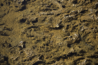 Filename=DSC_1407.jpg
Filesize=25890KiB
Dimensions=7360x4912
Date added=Sep 21, 2019 DSC_1407.jpg